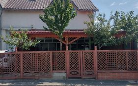 Hostel Tulcea